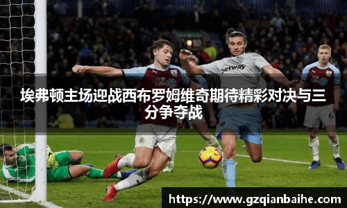 埃弗顿主场迎战西布罗姆维奇期待精彩对决与三分争夺战